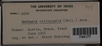 Image Associated With the Occurence